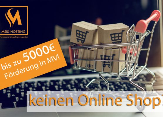 Bis zu 5000€ Förderung für Webseiten und Online Shops in Mecklenburg Vorpommern